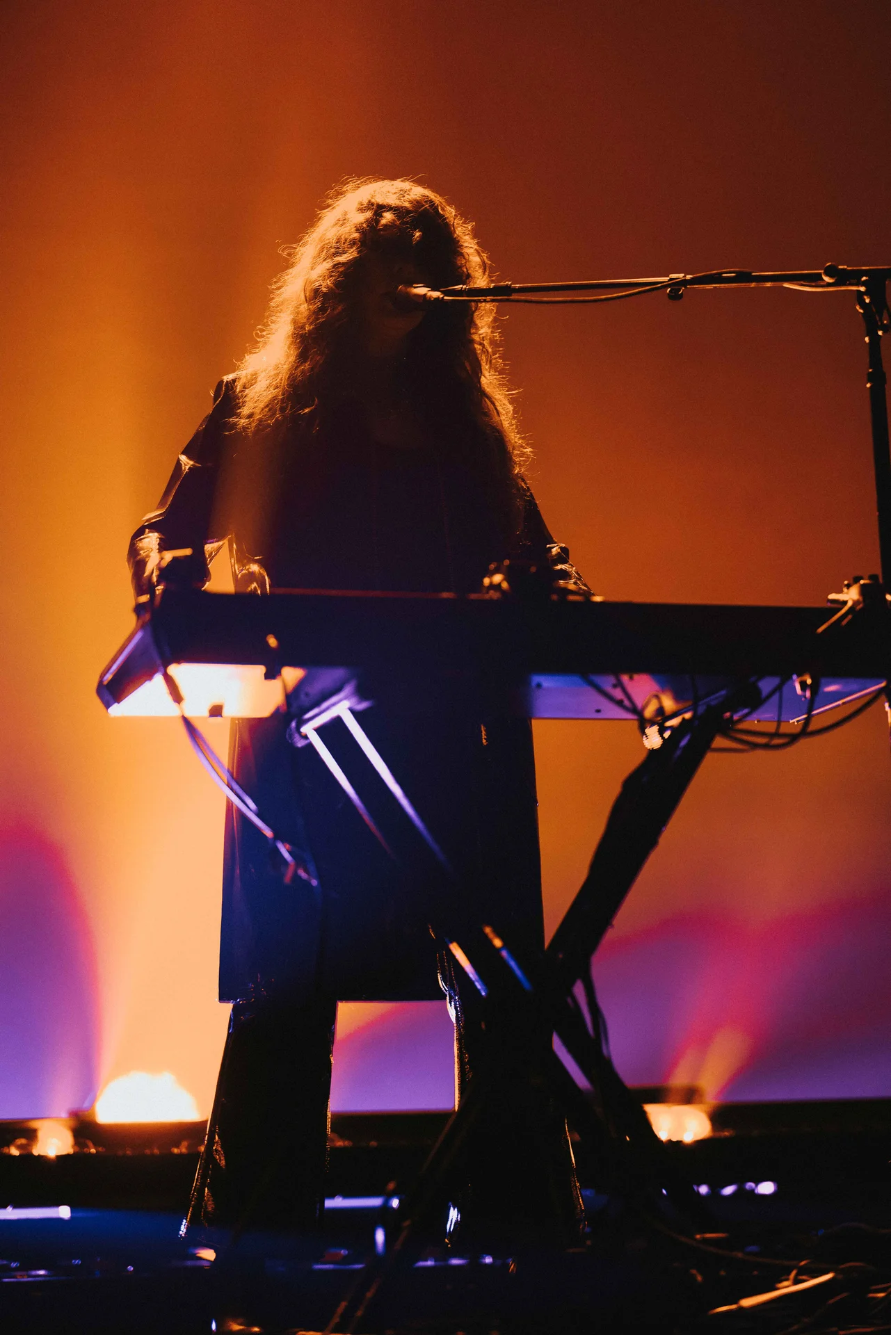 Beach House Concert - photo 17 of 38